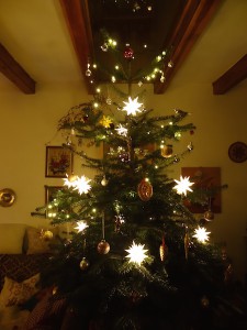 Baum_2