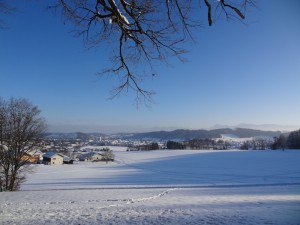 Winter_Waging_2015