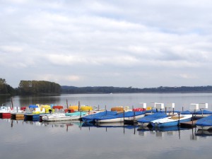 DSC08669