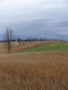 DSC09087