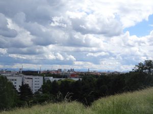 DSC09453